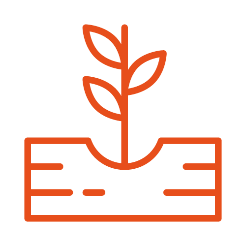 Ambiente (suelo y aire)