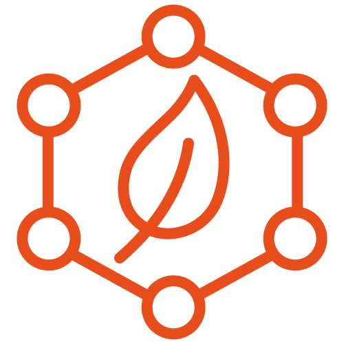 Compuestos orgánicos e inorgánicos